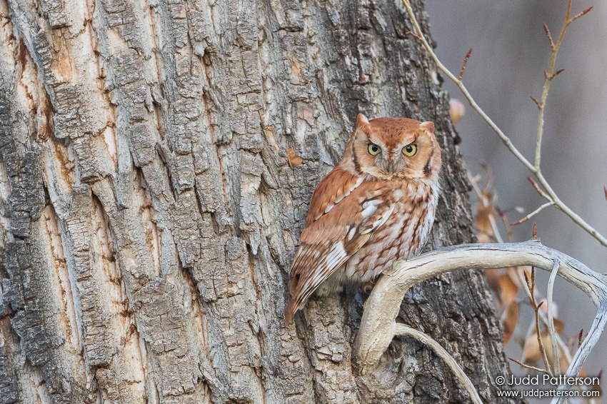 , Lee Martinez Park, Fort Collins, Colorado, United States