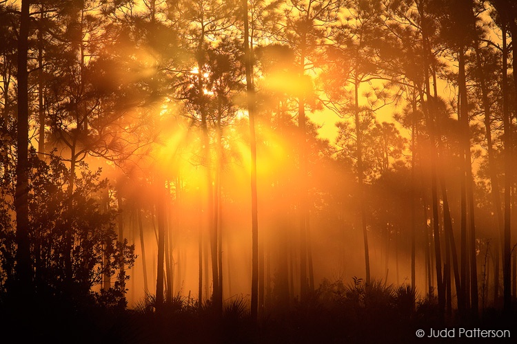 Dawn Fire, Everglades National Park, Florida, United States