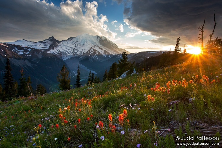 Final Moments, Mount Rainier National Park, Washington, United States