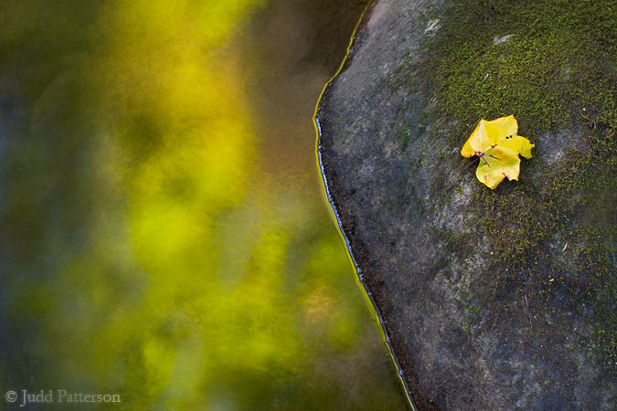 Appalachian Fall, Great Smoky Mountains National Park, Tennessee, United States