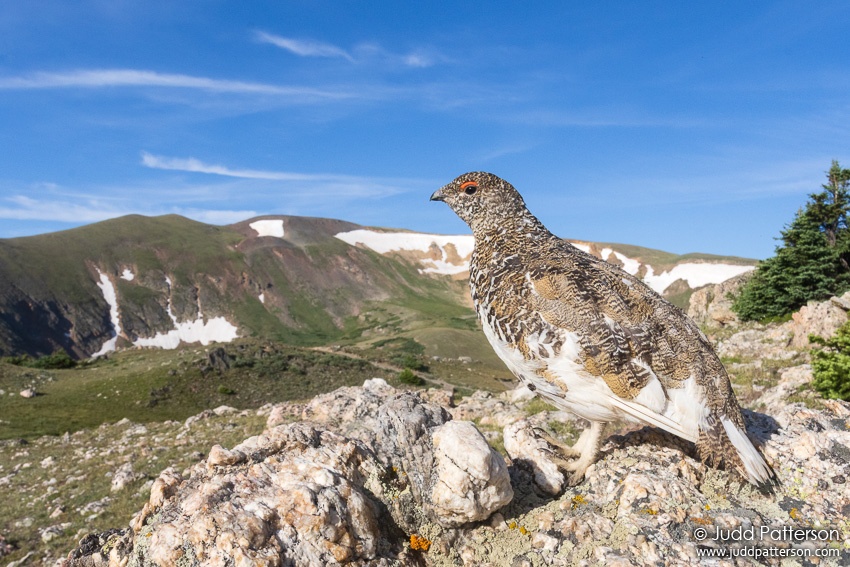 , Rocky Mountain National Park, Colorado, United States