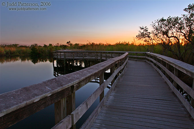 Anhinga Trail, Everglades National Park, Florida, United States