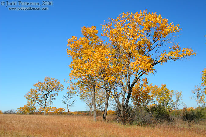 , Milford Lake, Kansas, United States