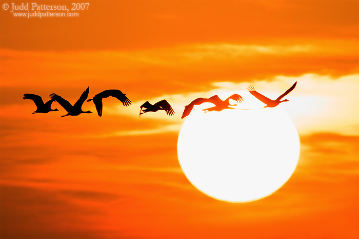 A New Day..., Platte River, Nebraska, United States