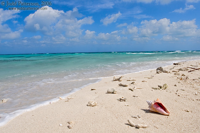 Pristine Beach, Dry Tortugas National Park, Florida, United States