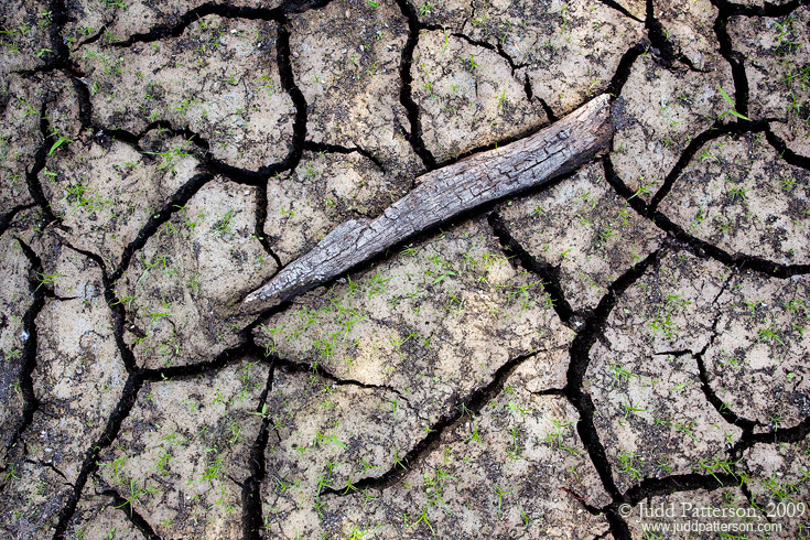 Dry Season, Big Cypress National Preserve, Florida, United States