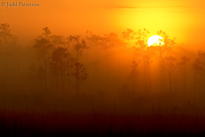 Foggy Sunrise, Everglades National Park, Florida, United States