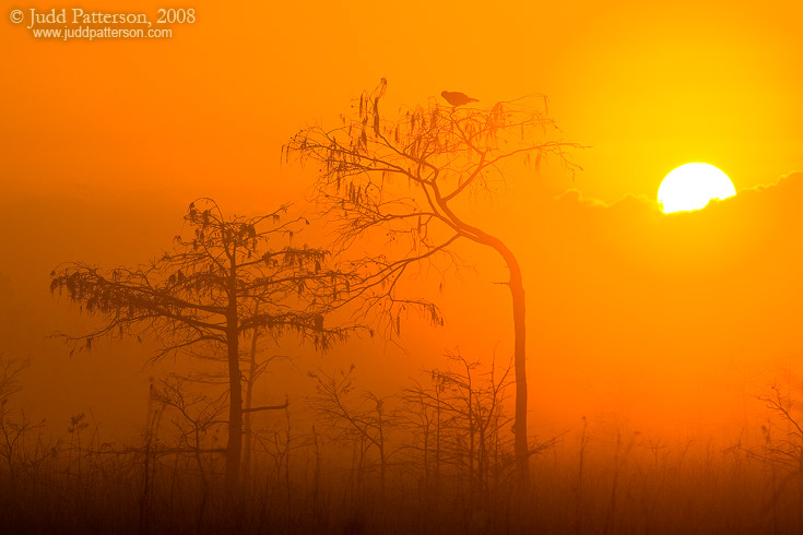 Rising Sun, Everglades National Park, Florida, United States