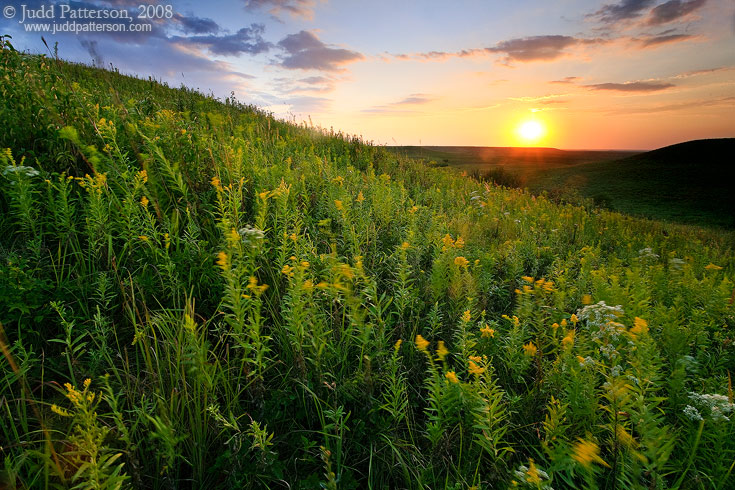 , Konza Prairie, Kansas, United States