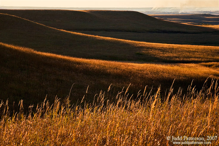 Rimmed in Gold, Konza Prairie, Kansas, United States