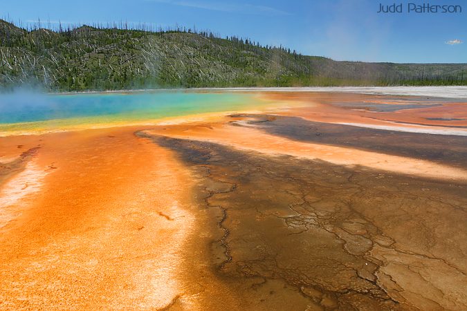 Microbial Paint, Yellowstone National Park, Wyoming, United States