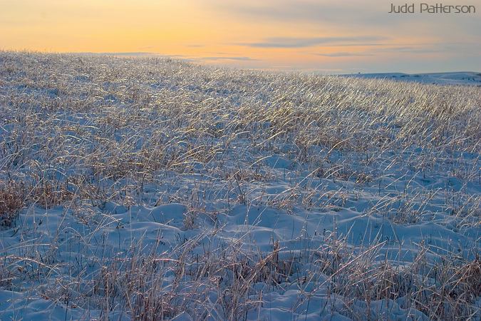 Prairie Under Ice, Konza Prairie, Kansas, United States