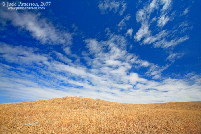 Dive In, Konza Prairie, Kansas, United States