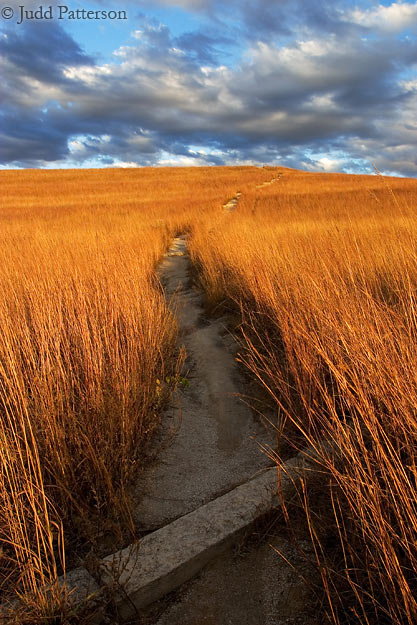 A Walk in the Grass, Konza Prairie, Kansas, United States