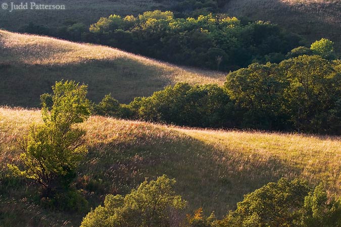 Afternoon Light, Konza Prairie, Kansas, United States