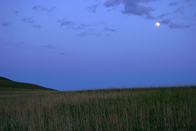 Konza Prairie at dusk, Konza Prairie, Kansas, United States