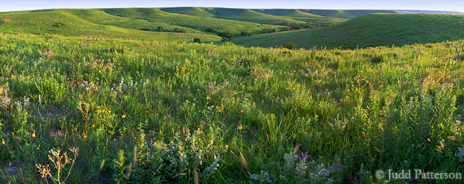 Konza Prairie, Konza Prairie, Kansas, United States