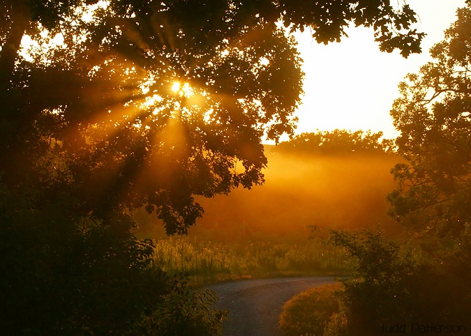 Sunburst, Konza Prairie, Kansas, United States