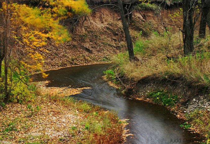 Motion, Konza Prairie, Kansas, United States