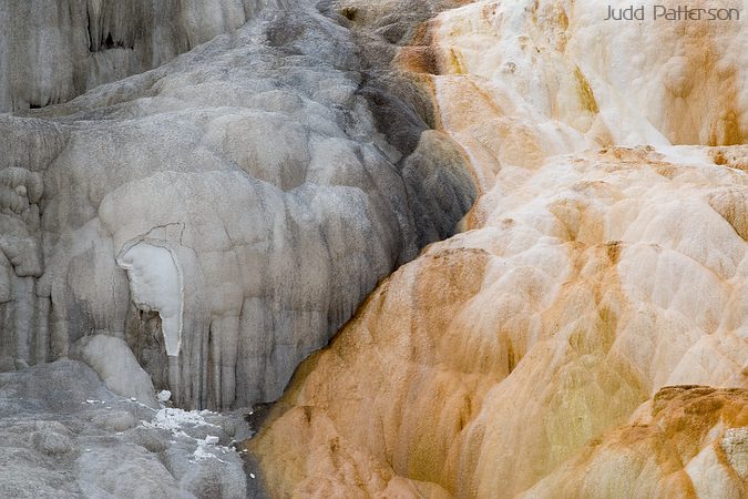 Lack of Water, Yellowstone National Park, Wyoming, United States