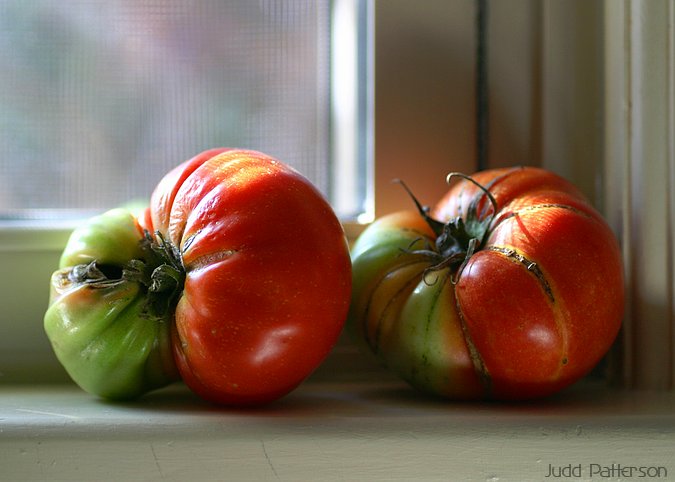 Odd Tomatoes, Saline County, Kansas, United States