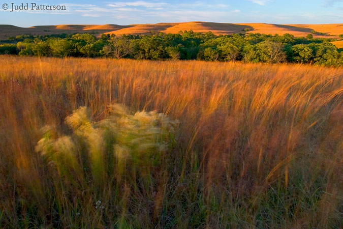 Windy Prairie, Konza Prairie, Kansas, United States