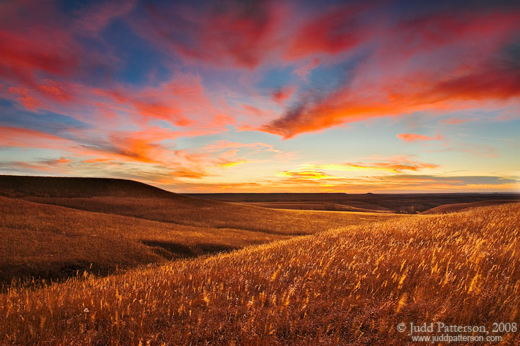 Colorful Close, Konza Prairie, Kansas, United States