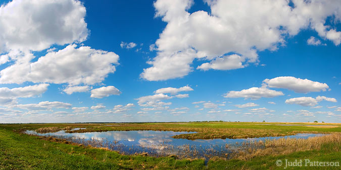 Migration Jewel, Quivira National Wildlife Refuge, Kansas, United States