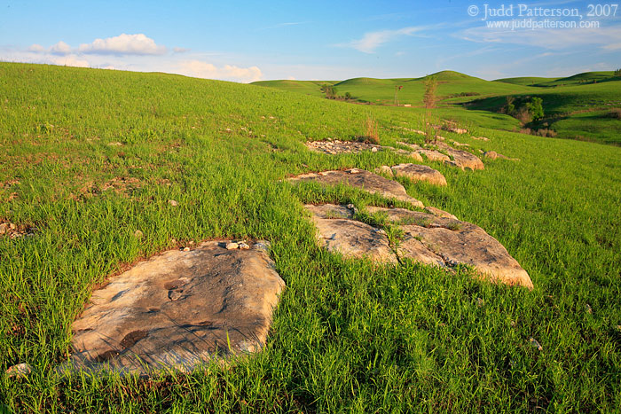 , Konza Prairie, Kansas, United States