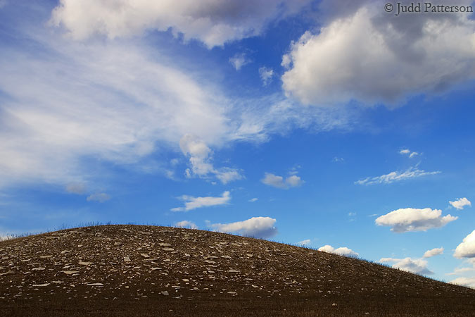 A Fresh Start, Konza Prairie, Kansas, United States