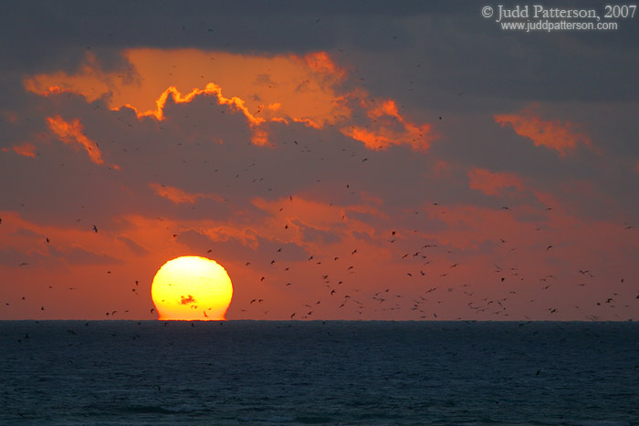 Sunrise in the Tortugas, Dry Tortugas National Park, Florida, United States