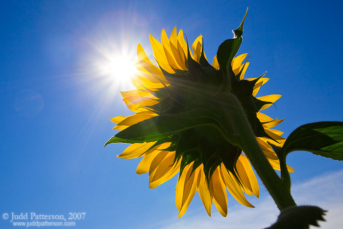 Soak It In, Leonardville, Kansas, United States