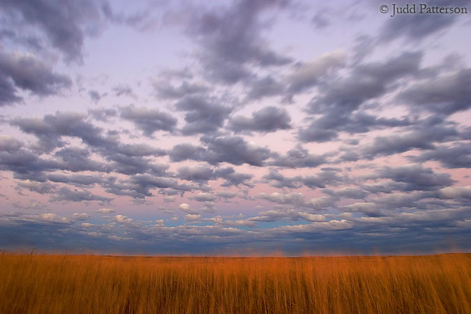 Tallgrass Memory, Konza Prairie, Kansas, United States