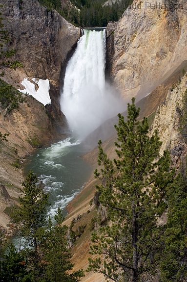 Yellowstone River, Yellowstone National Park, Wyoming, United States